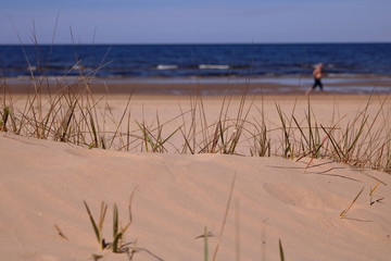 Nadmorskie wydmy, pierwszy plan nieostry, środkowy ostry z pojedynczymi trawami, w tle nieostra plaża, niebieskie morze, fale, mężczyzna uprawiający jogging