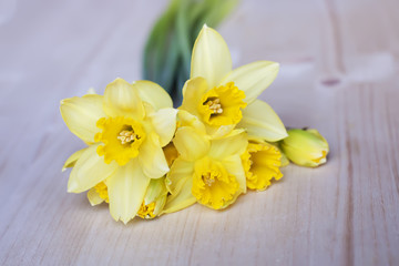 Obraz na płótnie Canvas Beautiful bouquet of yellow narcissus flowers.