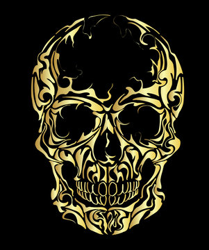 Skull on black background.