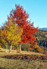 Autumn Carpathian village, Ukraine.