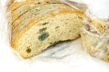 Mold on bread on a white background. Isolated.