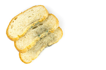 Mold on bread on a white background. Isolated.
