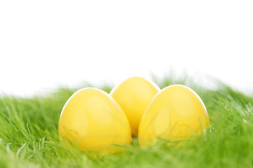 Easter eggs in grass