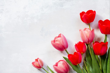 Red and pink tulips flower background. Top view with copy space.