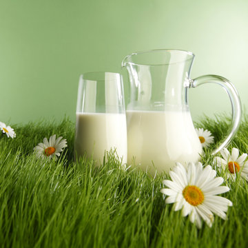Glass of milk and jar on flower meadow