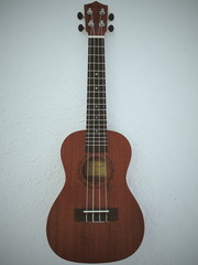 Obraz premium Processed with Adobe Light Room MOBILE