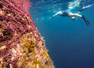 Snorkeling near coral reef