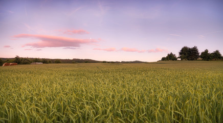 Sonnenuntergang mit Vollmond &uuml;ber Getreidefeld