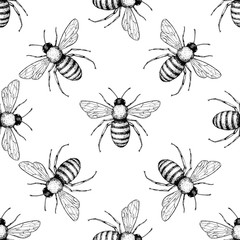 Bee vector seamless pattern. Hand drawn insect background. 