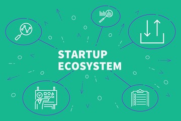 Fototapeta na wymiar Business illustration showing the concept of startup ecosystem
