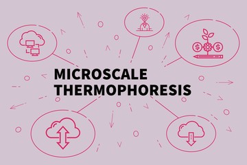 Fototapeta na wymiar Business illustration showing the concept of microscale thermophoresis