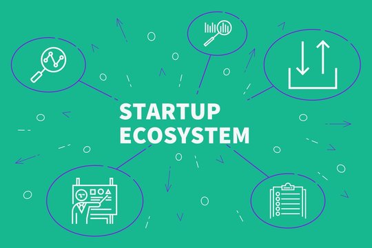 Startup Ecosystem Images – Browse 643 Stock Photos, Vectors, and Video | Adobe Stock