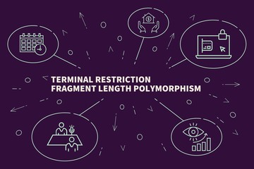 Fototapeta na wymiar Business illustration showing the concept of terminal restriction fragment length polymorphism