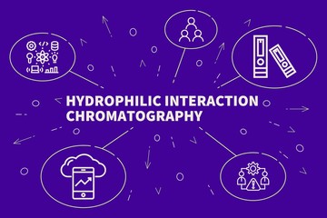 Business illustration showing the concept of hydrophilic interaction chromatography