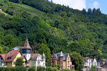 Fototapeta na wymiar row of old homes at the bottom of a mountain in Heidelberg Germany