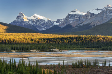 Saskatchewan River Crossing during Autumn golden hour of the Icefields Parkway - obrazy, fototapety, plakaty