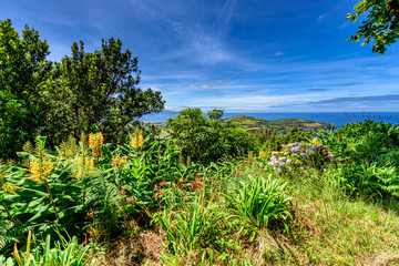 Fototapeta na wymiar Landschaft auf den Azoren Sao Miguel