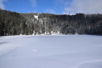 Der Mummelsee im Schwarzwald