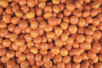 lots of fresh mandarin oranges forming an orange background