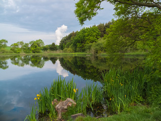 old pond in the scottish countryside