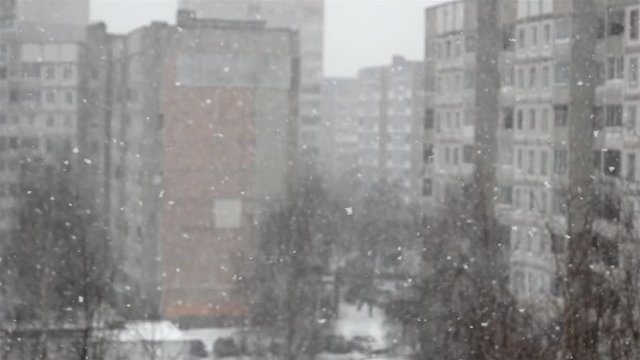 snow falls. large snowflakes blizzard