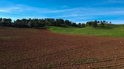 Obraz na płótnie Canvas Aerial view of an agricultural field
