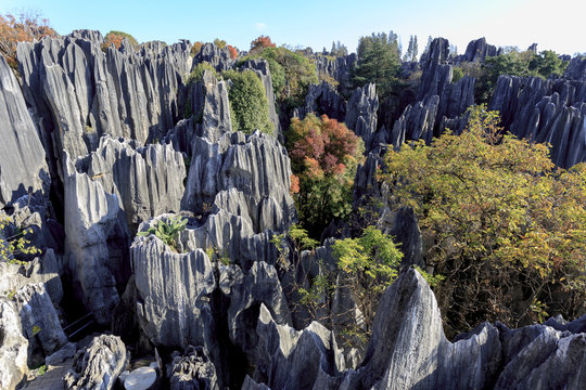 Stone forest near Kunming, Yunnan China