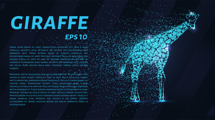 Naklejka premium Giraffe of the particles. Giraffe consists of dots and circles. Blue giraffe on a dark background