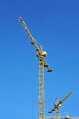 Naklejka premium Construction tower crane
