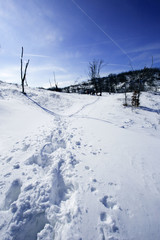 Gorski kotar winter landscape