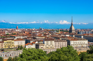 Fototapeta na wymiar Panorama of Turin skyline