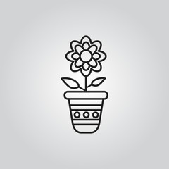 Flower in pot icon