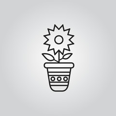 Flower in pot icon