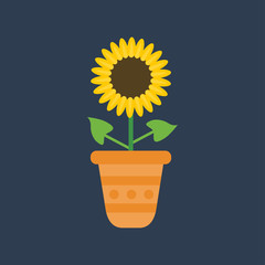 Obraz premium Sunflower icon