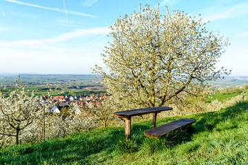 wooden rest place in orchard