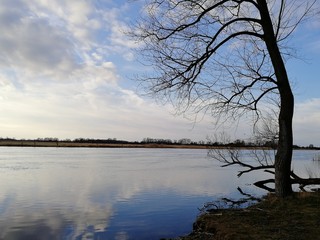 Winter an der Havel