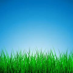 Foto op Plexiglas Hello Spring Poster With green grass and blue sky, Vector Illustration © Oleh