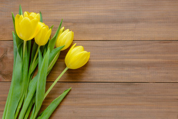 Yellow tulips, spring flowers. Background for Birthday, Woman Day, or Mothers Day. Copy space.