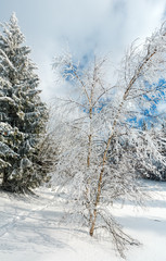 Winter mountain snowy landscape