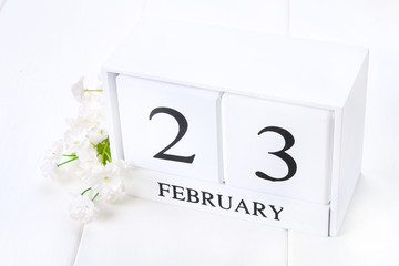 White wooden calendar with black 23 february word with clock and plant on white wood table.