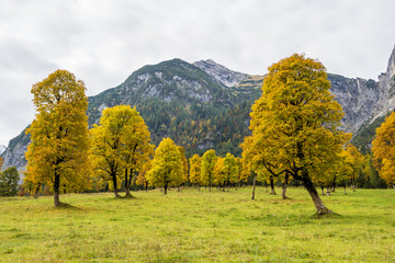 Österreich - Tirol - Herbst im Großen Ahornboden