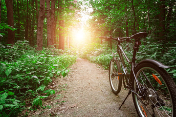 Mountain biking down hill descending fast on bicycle. View from bikers eyes.