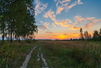 footpath in the field