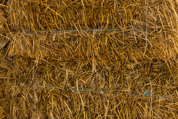 Straw texture background