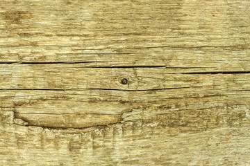 Fototapeta premium An old wooden board. Retro background. Place for text. Detail of wood structure.