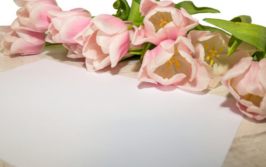 Empty paper mock-up on the table with pink spring tulips, top view