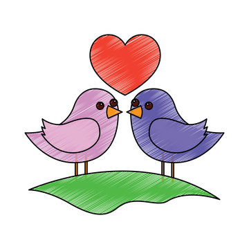 cute couple birds togehther with heart in the field vector illustration drawing image