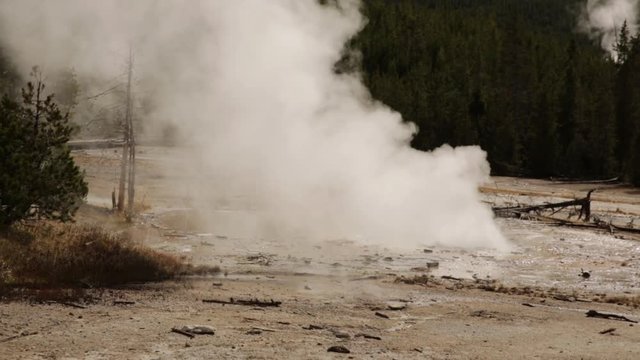 Water Spraying Out of Active Geyser Hot  Springs in Yellowstone National Park.