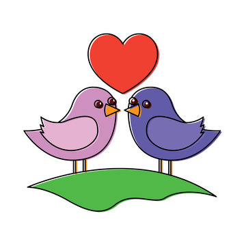 cute couple birds togehther with heart in the field vector illustration