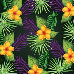 Selbstklebende Fototapeten tropical and exotics flowers and leafs vector illustration design © Gstudio